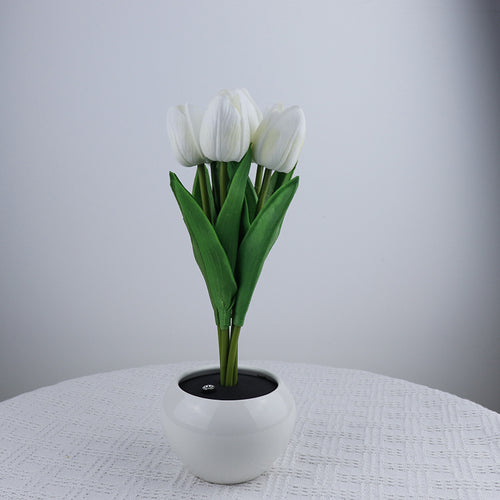 Ceramic LED Mood Night Light